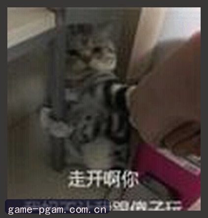 赵姐